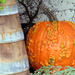 Colorful Pumpkin by seattlite
