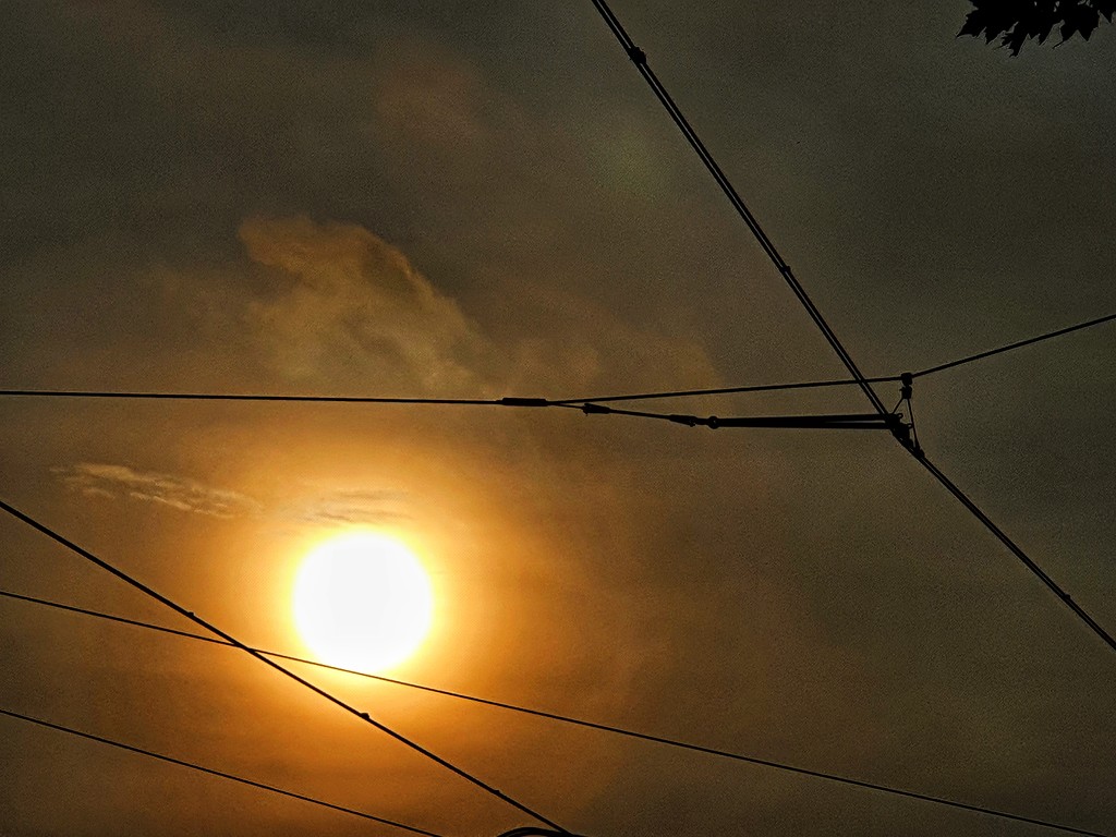 Power lines & sunrise by isaacsnek