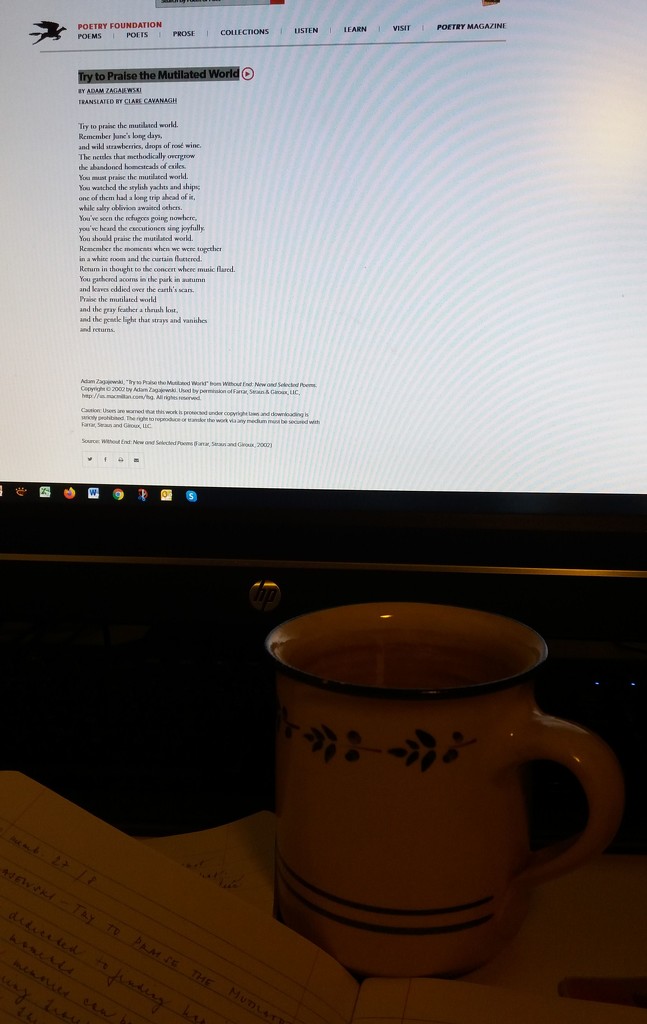 Late evening - Tea - Screen - Poem. by kclaire