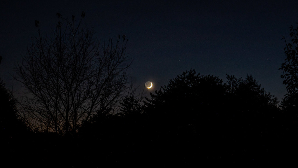 Crescent Moon by randystreat