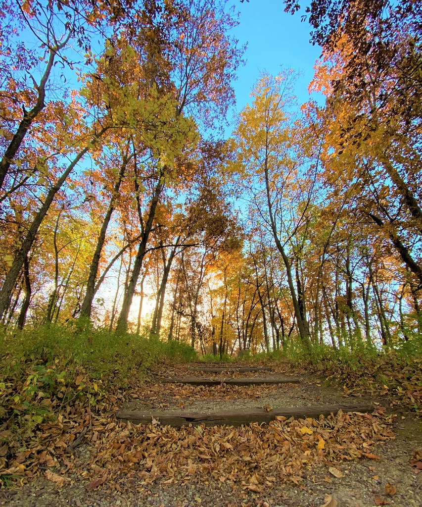 Fall Footpath by lynnz