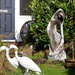 Garden Sculptures by davemockford