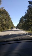 21st Oct 2020 - Driving through the Wateree Swamp...