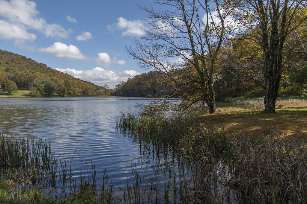 Peaks Of Otter Lake by timerskine