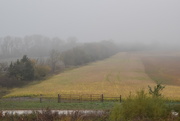 10th Oct 2020 - Foggy Autumn Morning