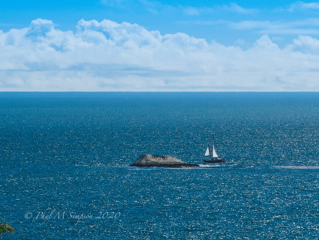 Sail Away by elatedpixie