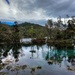 Te Waikoropupu Springs by kiwinanna