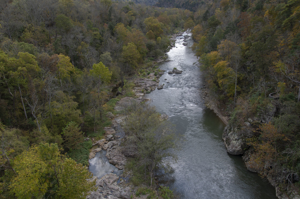 Roanoke River by timerskine