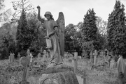 22nd Oct 2020 - Bonner Hill Road Cemetery