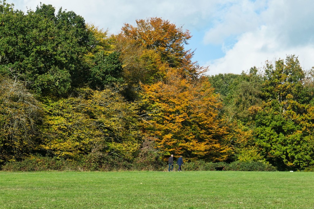 Autumn Stroll by gaf005
