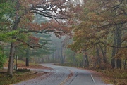 22nd Oct 2020 - Misty, Rainy Day Drive