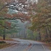 Misty, Rainy Day Drive by lynnz