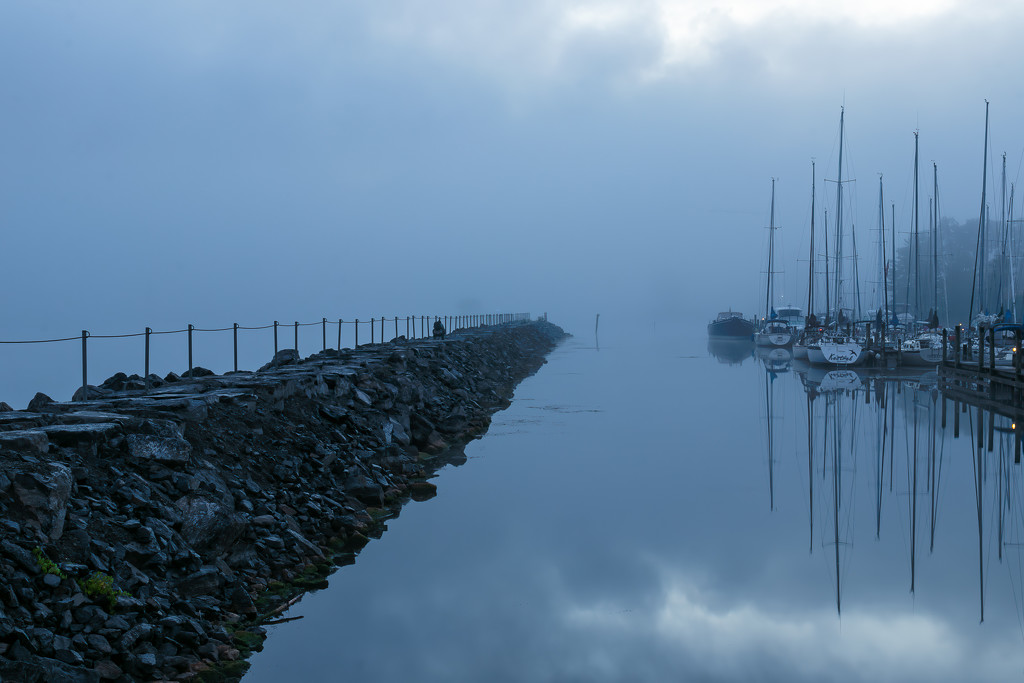 Foggy Morning at Watkins Glen Harbour by swchappell
