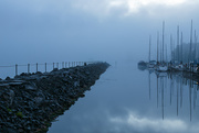 6th Sep 2020 - Foggy Morning at Watkins Glen Harbour