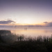 Mist rising over Lake Whangape by yorkshirekiwi