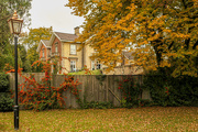 23rd Oct 2020 - More Autumn colours