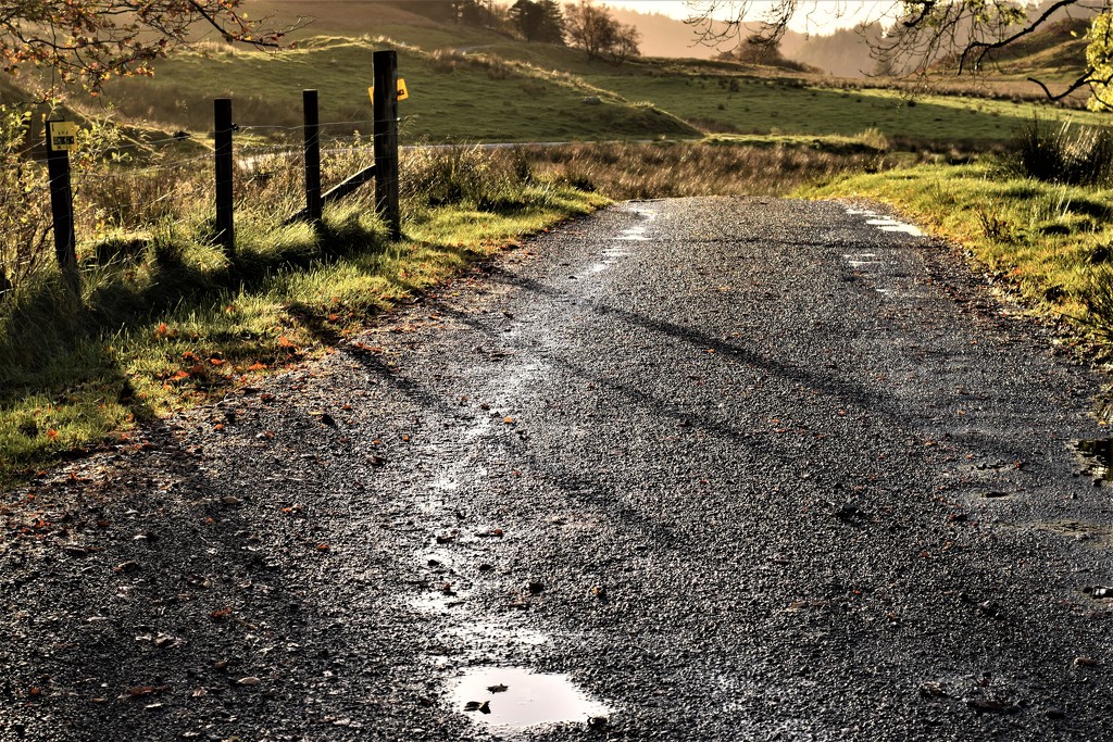 autumn shadows by christophercox