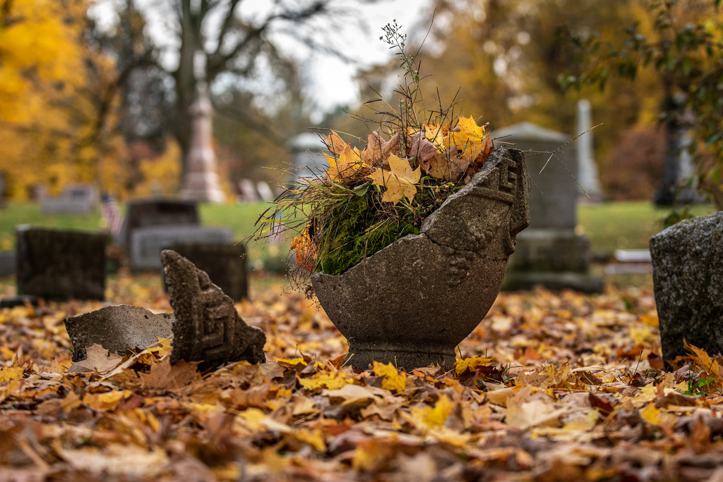 crawling around cemeteries again... by jackies365