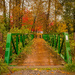 Green Footbridge  by cdcook48