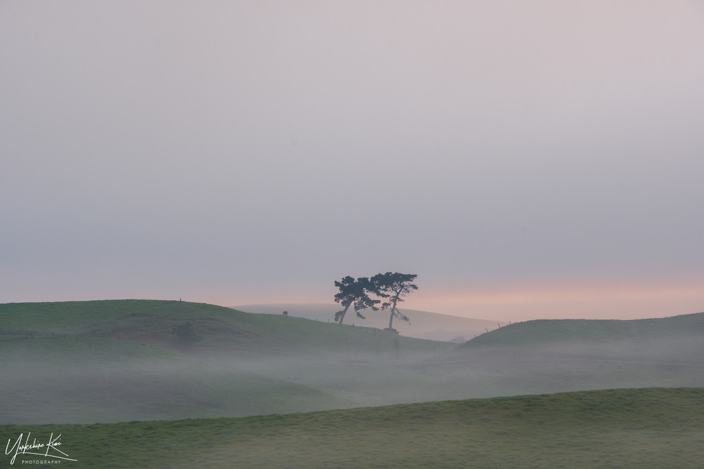 Misty morning by yorkshirekiwi