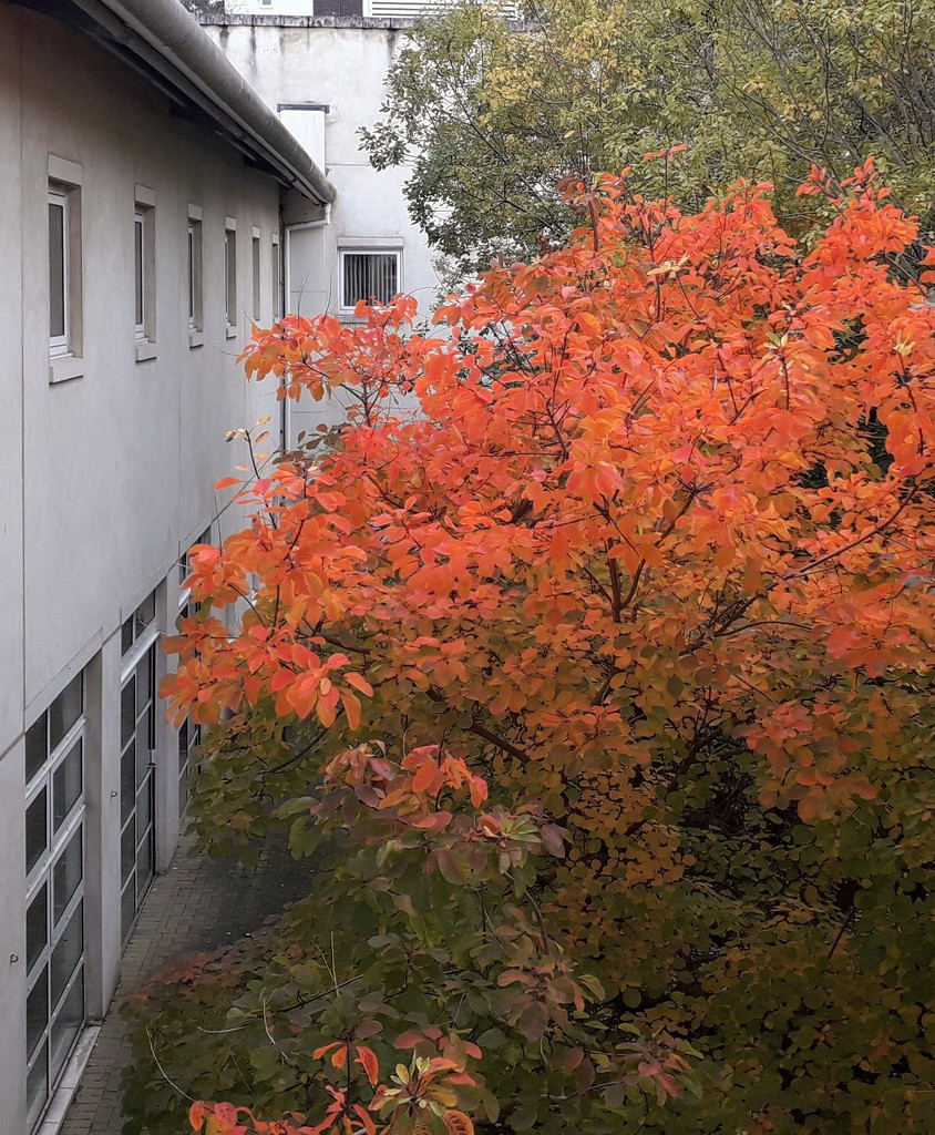 Colourful courtyard  by jokristina