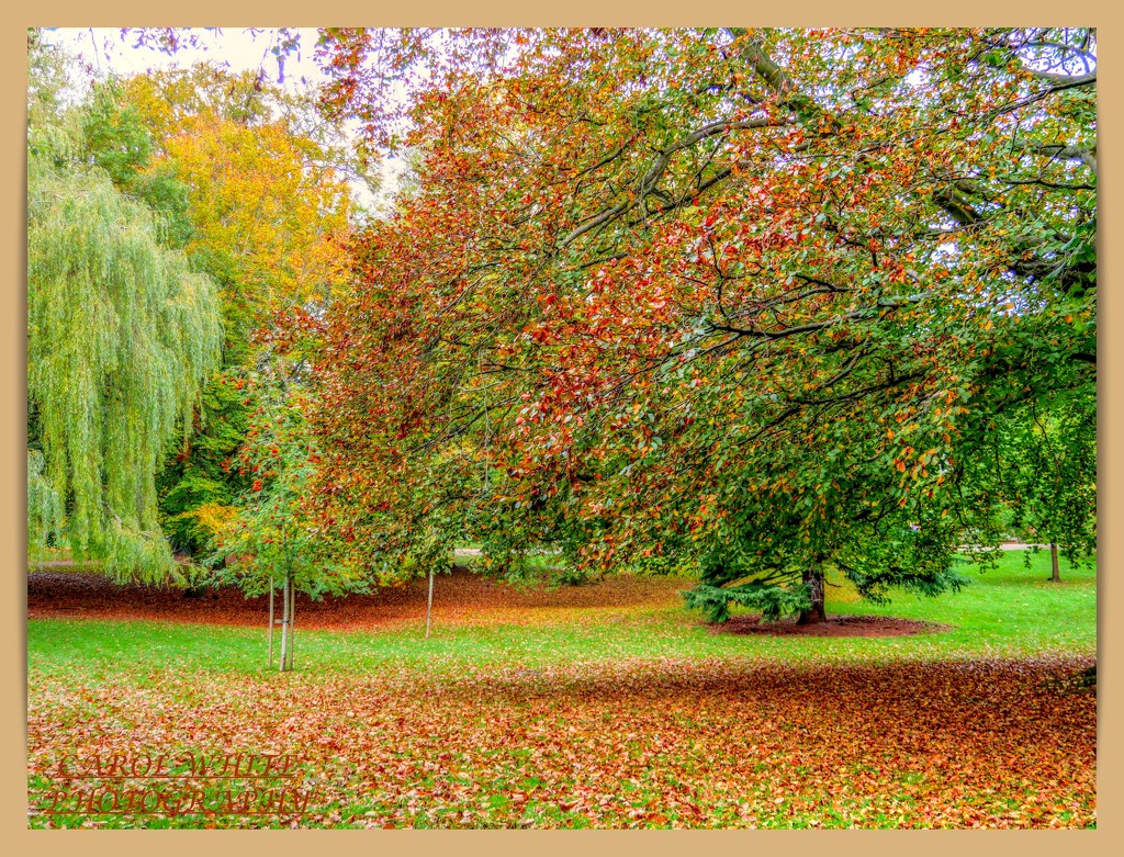 Autumn Palette by carolmw