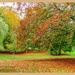 Autumn Palette by carolmw