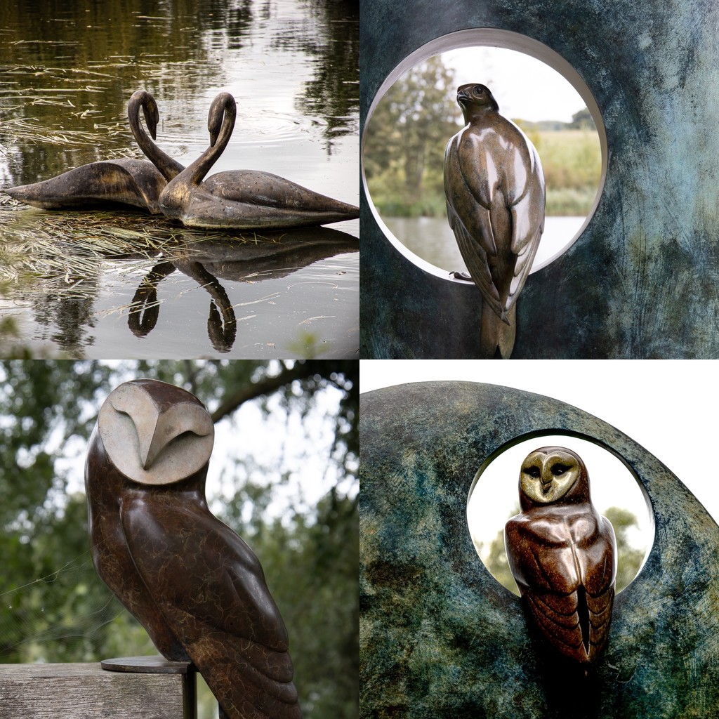 Birds at Sculpture by the Lakes by judithmullineux