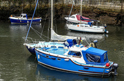 24th Oct 2020 - Inner Harbour at Dysart