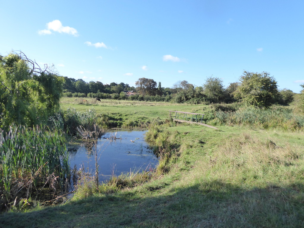 The old fish ponds on the Abbey meadows by speedwell