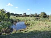 25th Sep 2020 - The old fish ponds on the Abbey meadows