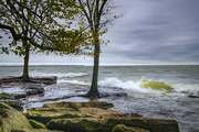 23rd Oct 2020 - Raw Afternoon on Lake Erie