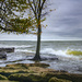 Raw Afternoon on Lake Erie by ggshearron