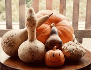 24th Oct 2020 - Gourds