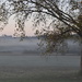 Foggy Fall Morning by genealogygenie