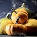Gourds by wakelys