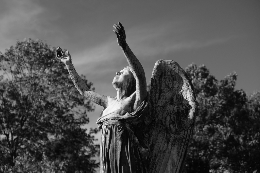 Bronze Angel by 365nick