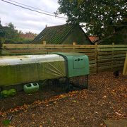 24th Oct 2020 - A new fence