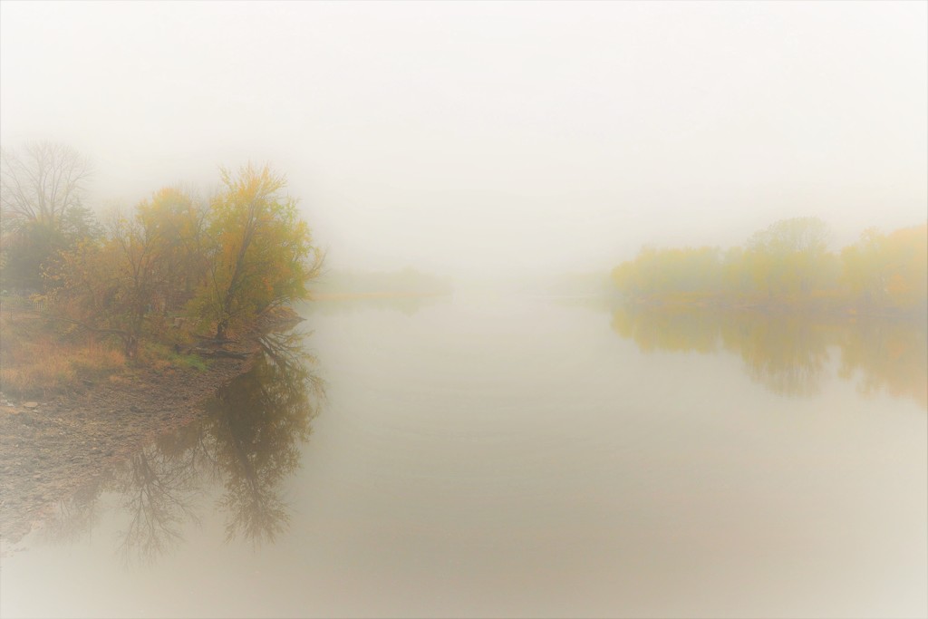 Fall Fog by lynnz