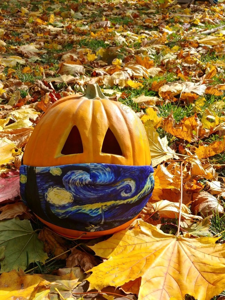 Masked Pumpkin  by jo38
