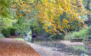 25th Oct 2020 - Autumnal Water