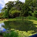  Reflection Pond at Botanic Gardens ~     by happysnaps