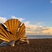 Scallop Shell, Aldeburgh by helly31