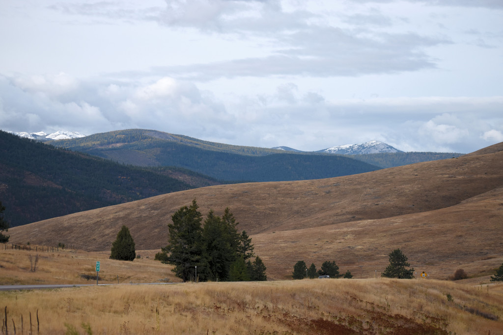 Broad Montana Vista by bjywamer