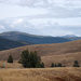 Broad Montana Vista by bjywamer