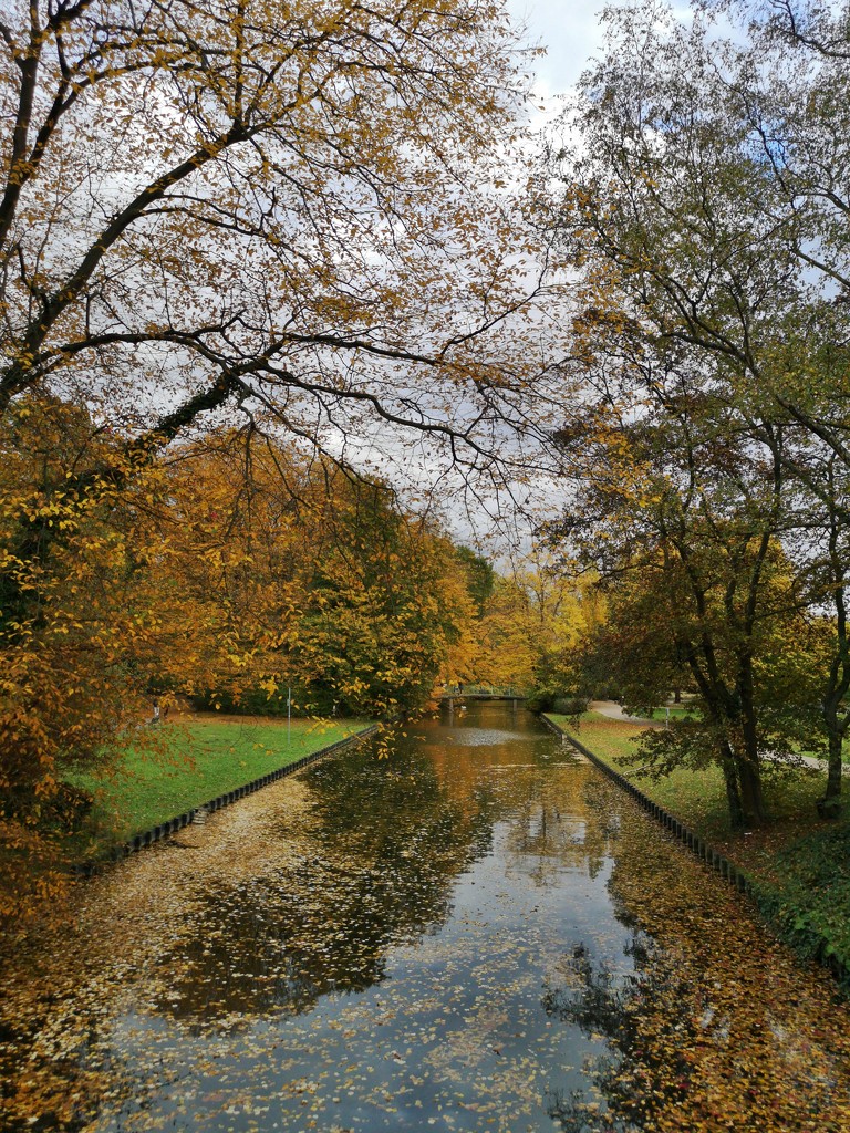 Autumn wonderland @Stadtwald  by ctst