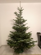 16th Dec 2018 - Our first Christmas tree together