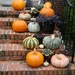 A “Gourd-Jus” Display by allie912