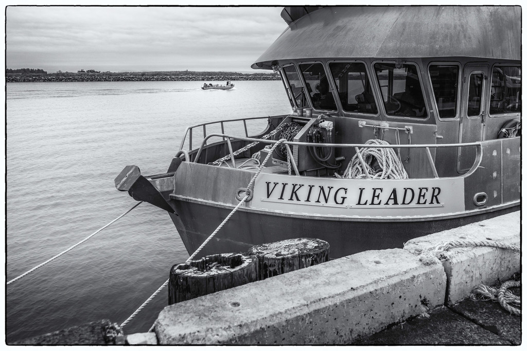 Viking Leader by cdcook48