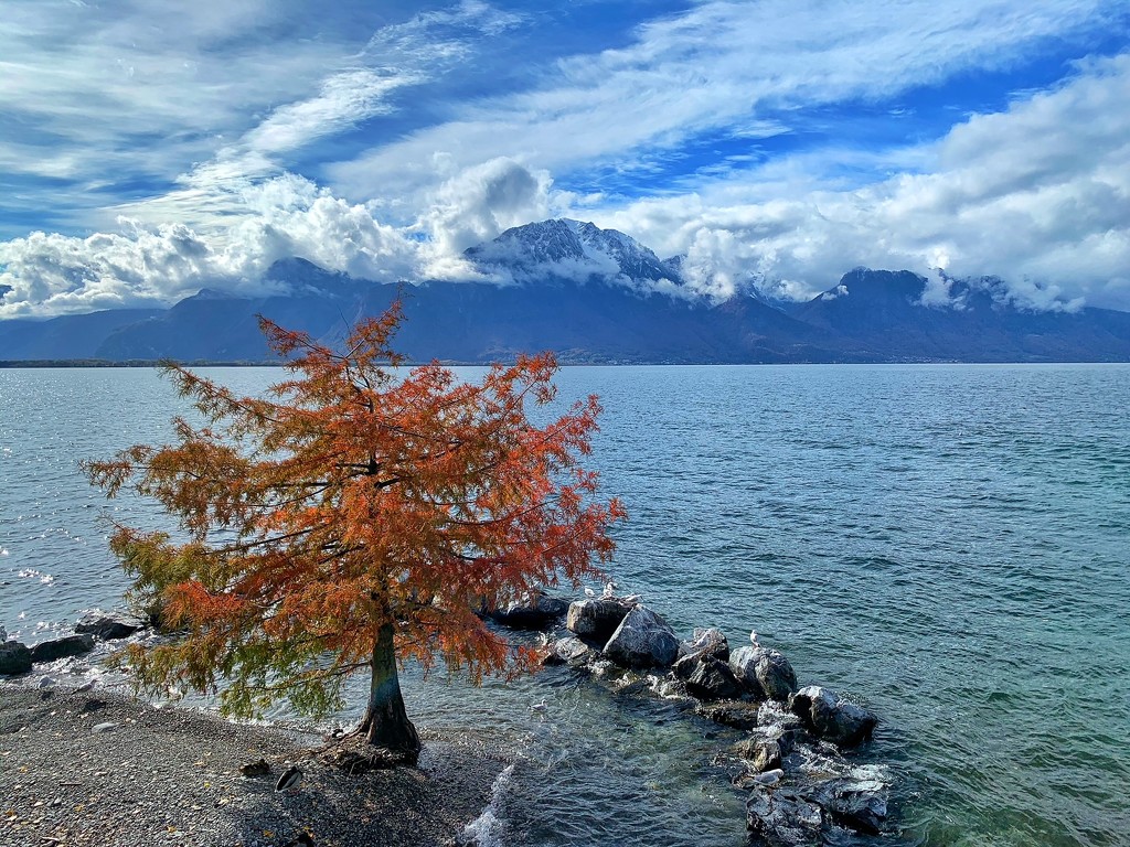 Facing the lake and the mountains.  by cocobella